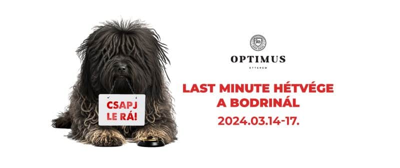 Last Minute hétvége  a Bodriban – 2024.03.14-17.