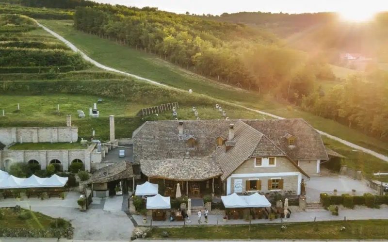 Céges évzáró rendezvény akár 300 főig a Bodri Birtokon
