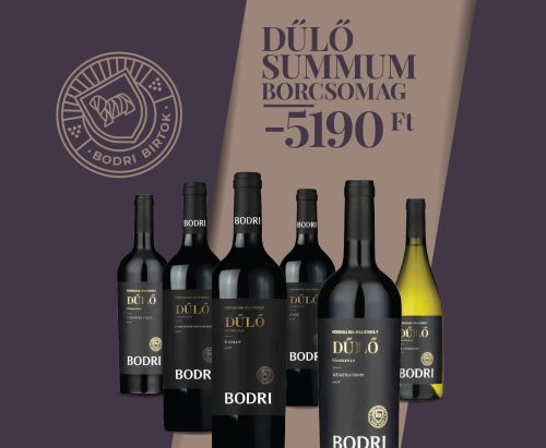 DŰLŐ Summum Borcsomag