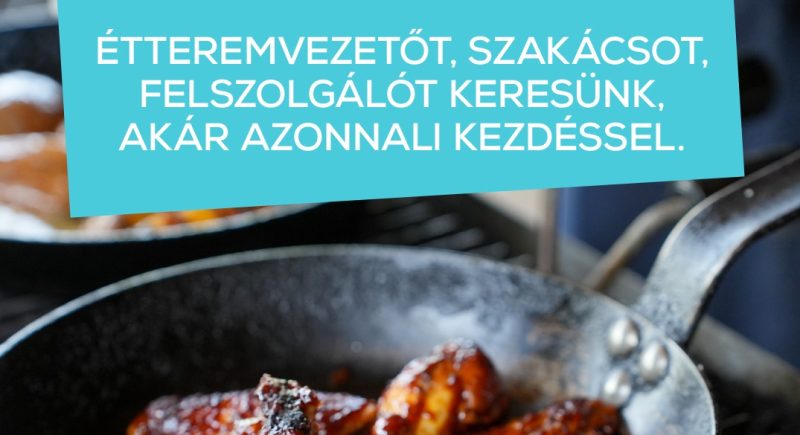 Munkát keresel? Mi meg Téged.