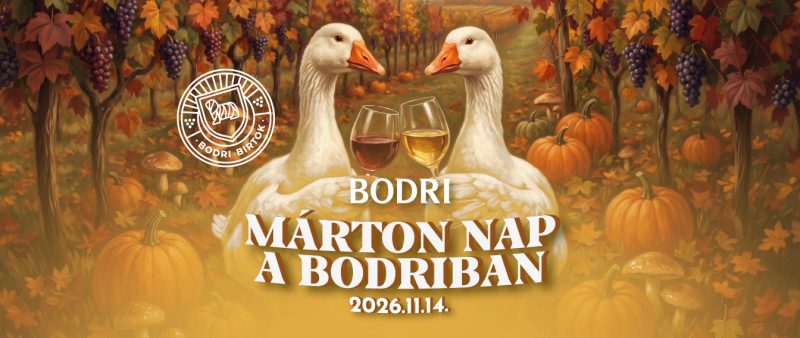 MÁRTON NAP A BODRIBAN – 2026.11.14.
