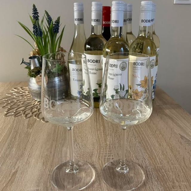 Attila kedves visszajelzését osztjuk meg veletek, aki a hosszú hétvégén írt nekünk. 🍷🍷
„Nagyon ott lennénk a Retro partyn, de sajnos messze vagyunk. Már csak egy pár üveg maradt, de vészesen fogy! Jó bulit nektek!  Reméljük ott tudunk lenni a következő bulin! … a borok minősége, úgy gondolom magasra tették számomra a lécet, melyet jelenleg egyik pincészet sem tud megugrani."👍
Köszönjük❤ és egészségetekre. Szeretettel várunk eseményeinken!