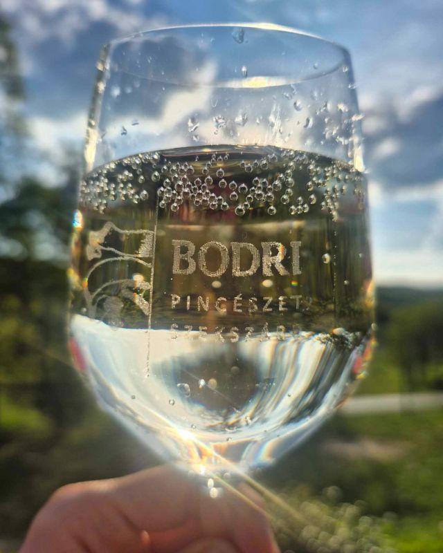 Emma a pohárban😍 Ezzel indítjuk a napsütéses, borkóstolós, grilles, retropartys csodás hosszú hétvégét a birtokon. 🌞Szeretettel várunk!🍷
📸 @orsibodri 
#Bodripincészet #hosszúhétvége #koccintsunk #foglaljmost