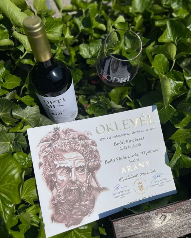 🏆Három Bodri arany ragyogott a Szekszárdi Borvidéki Borversenyen, csillogjanak a legjobb borok a Te poharadban is.🍷🍷 Koccitsunk ma is díjazott borokkal.😉
📸 @poloteszilvi 
#dijazottbor #aranyoklevél #bodripincészet #bodribor